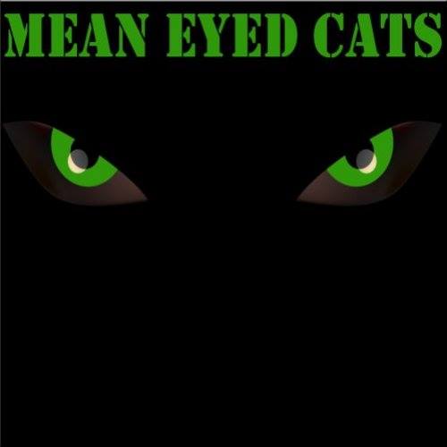 Mean Eyed Cats Profile Pic