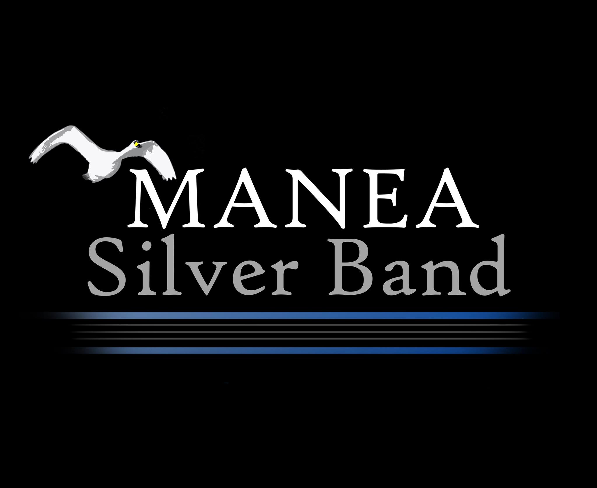 Manea Silver Band Profile Pic