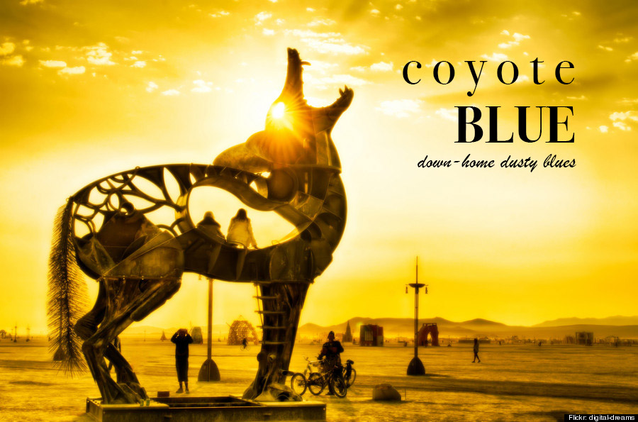 Coyote Blue Profile Pic