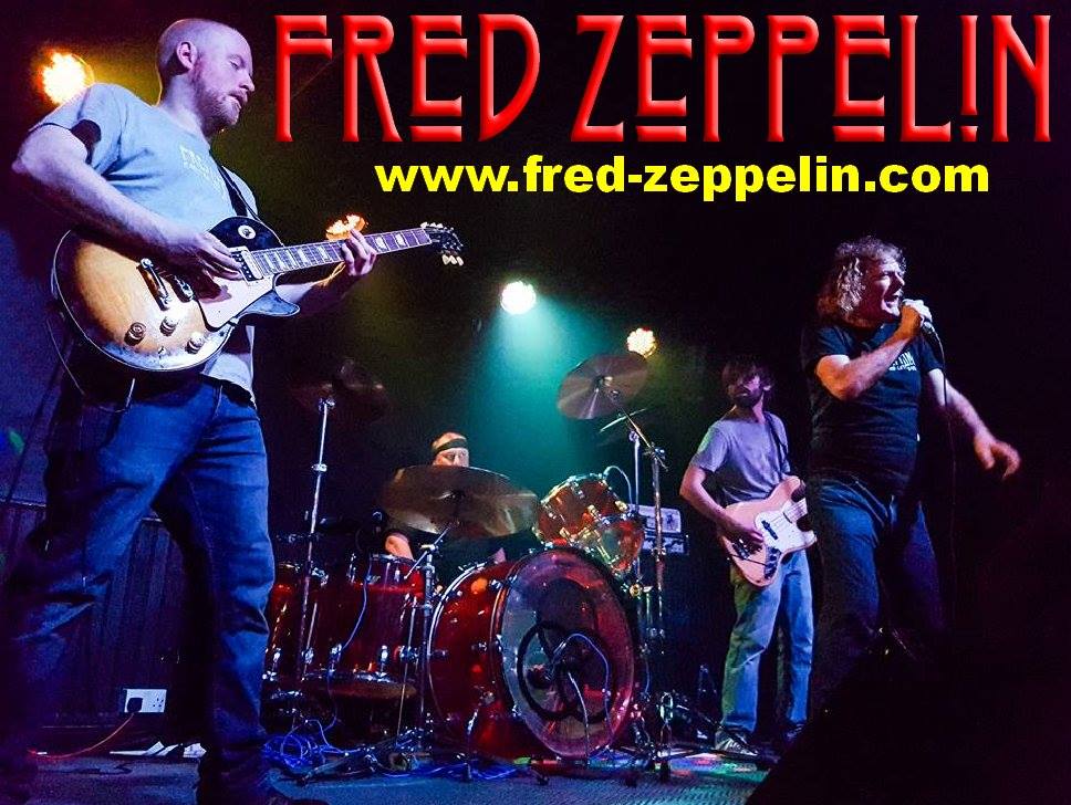 Fred Zeppelin Profile Pic