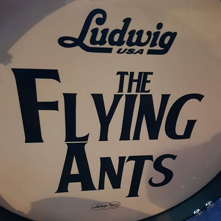 The Flying Ants Profile Pic