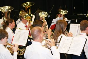 Shepway Brass Academy Profile Pic