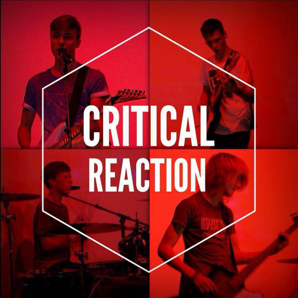 Critical Reaction Profile Pic
