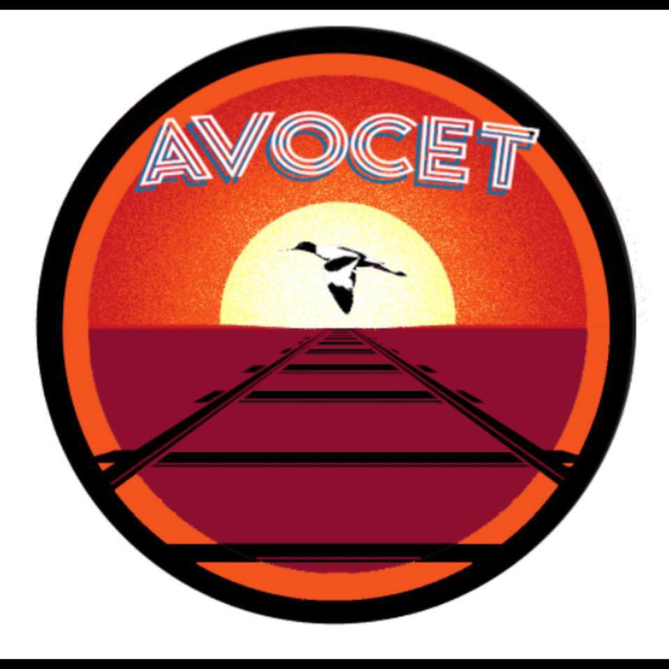 Avocet Profile Pic