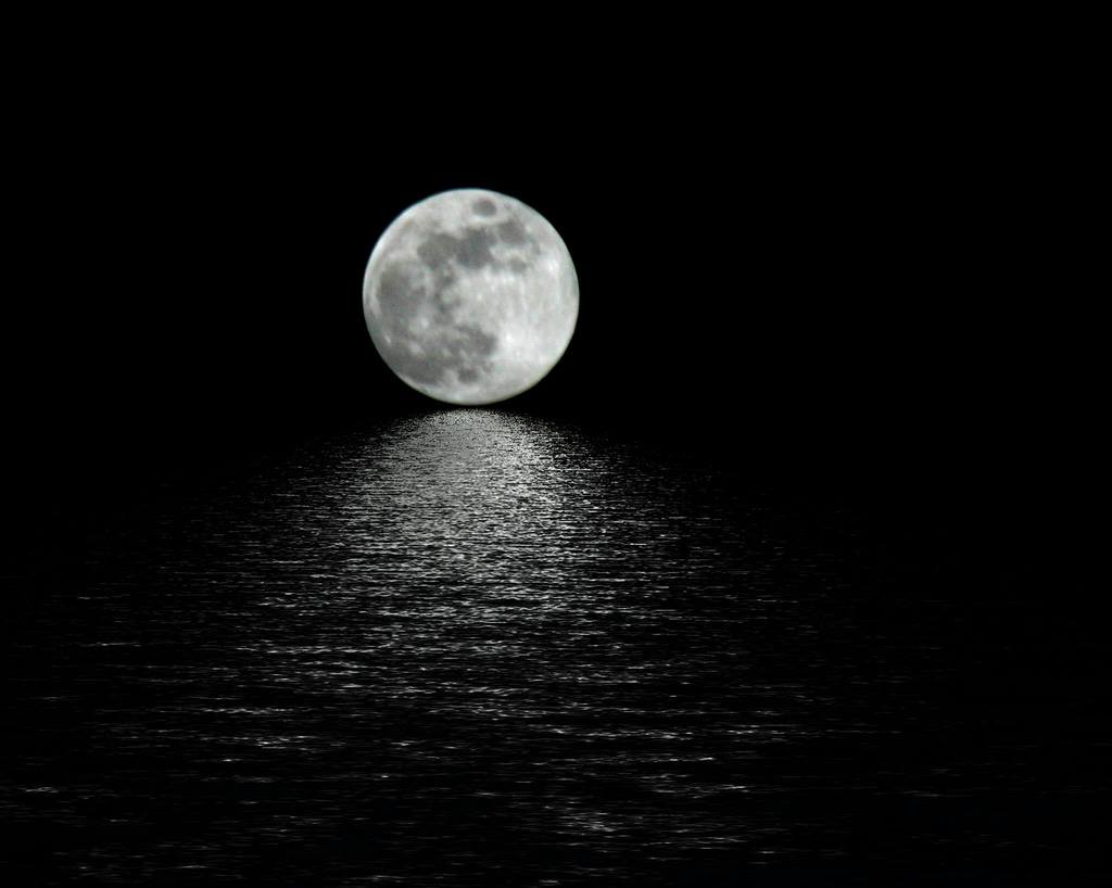 Moon On The Water Profile Pic
