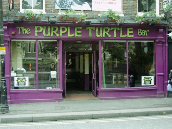 Purple Turtle Profile Pic