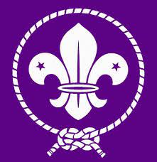 1st Derndown Scout HQ Profile Pic