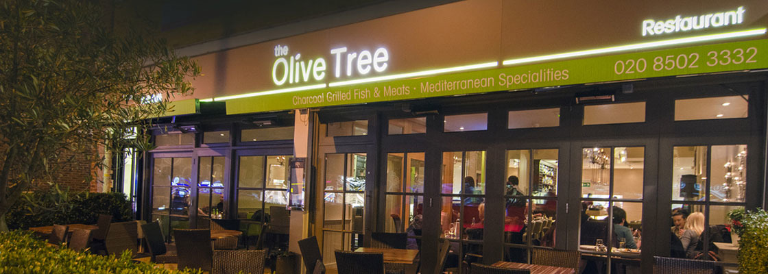 The Olive Tree Profile Pic