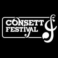 Consett Festival Profile Pic