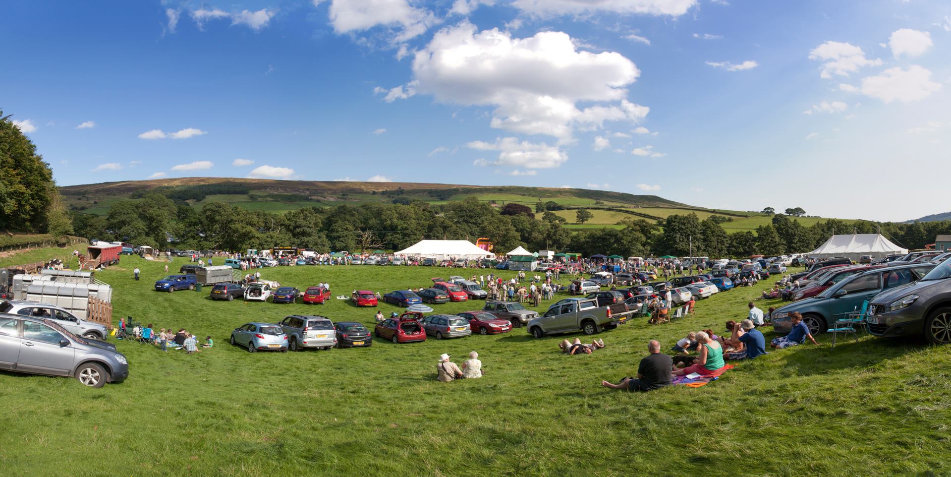 Farndale Show Profile Pic