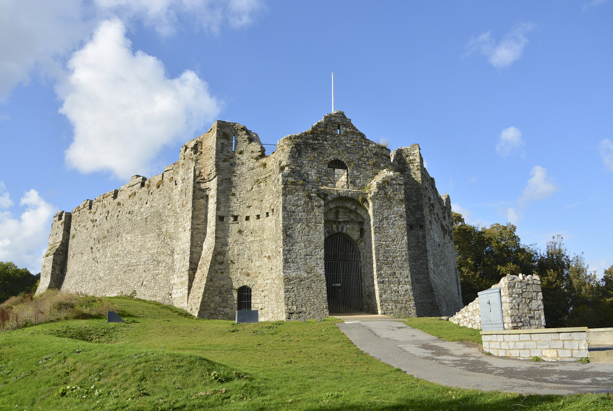 Oystermouth Castle Profile Pic