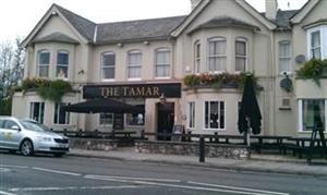 The Tamar